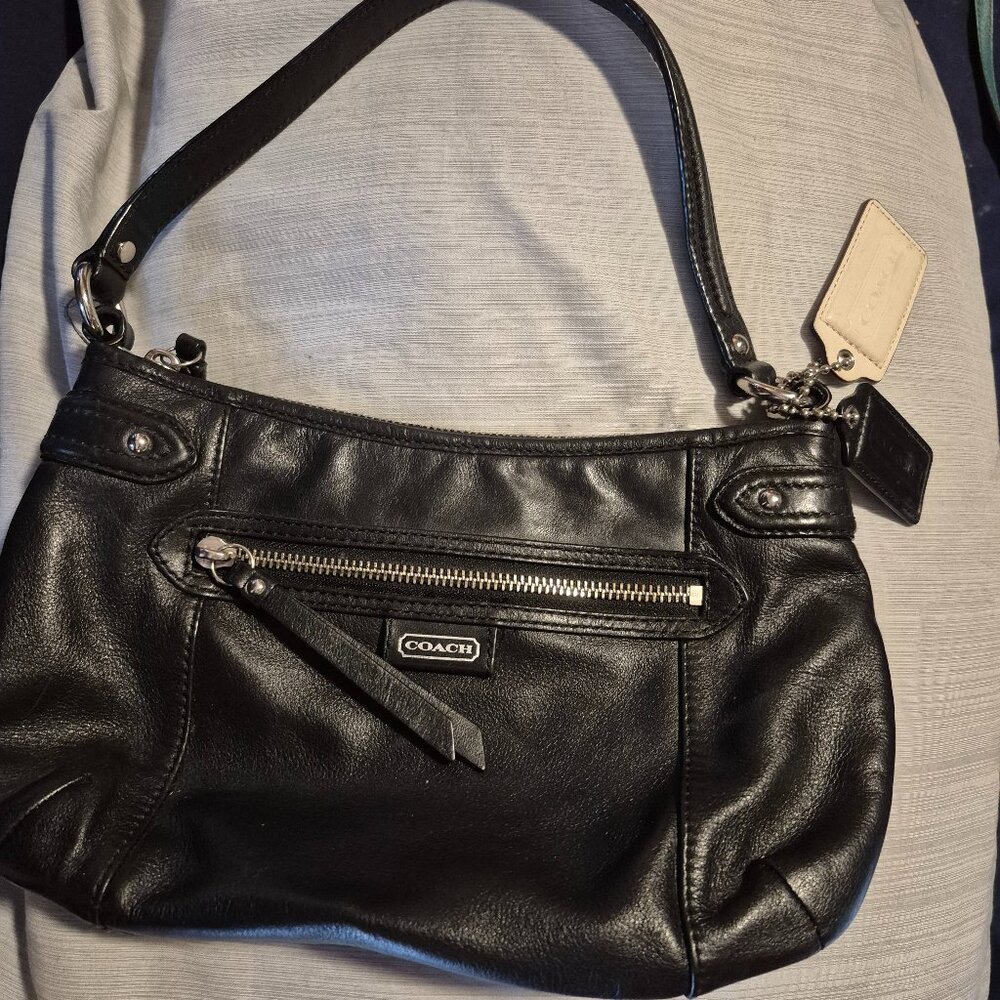 Coach Daisy leather bag